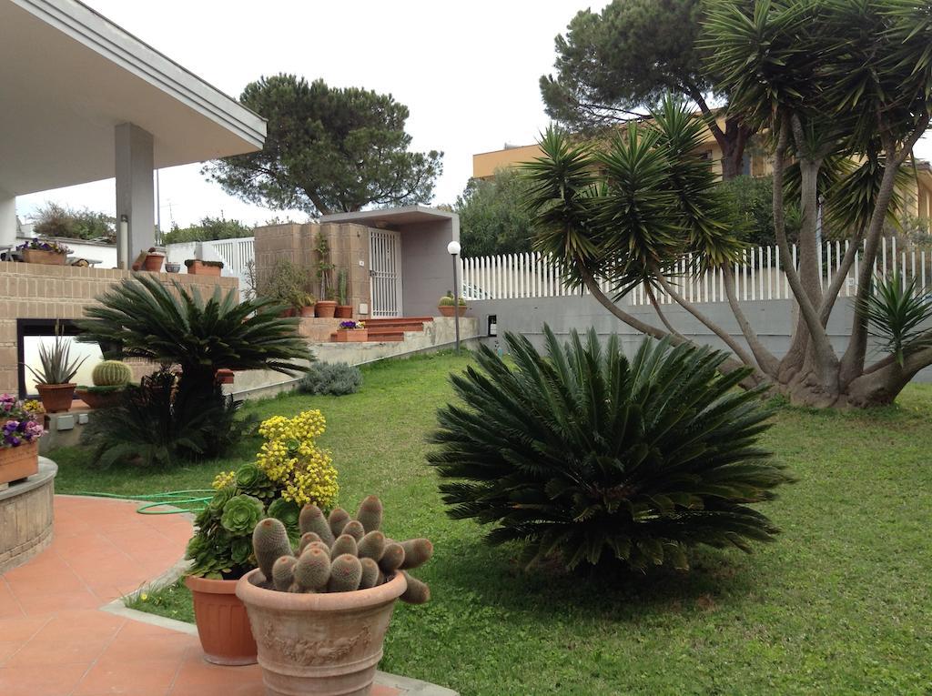 Acquamarina Hotel Civitavecchia Buitenkant foto